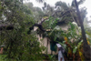 Udupi: Heavy rains, high wave warning issued; over 20 houses damaged
